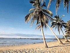 Praia da costa venezuelana